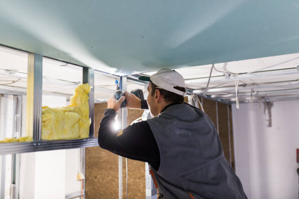 Best Insulation Contractor Near Me  in Riverdale, GA
