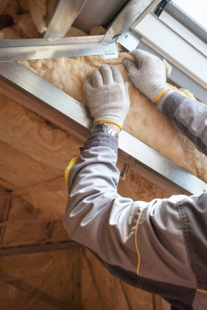 Best Residential Insulation Services  in Riverdale, GA