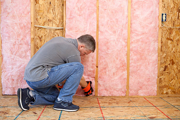Best Insulation Replacement Services  in Riverdale, GA
