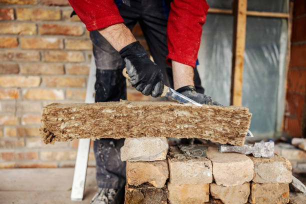 Best Local Insulation Services  in Riverdale, GA