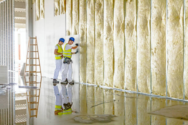 Best Wall Insulation Contractor  in Riverdale, GA